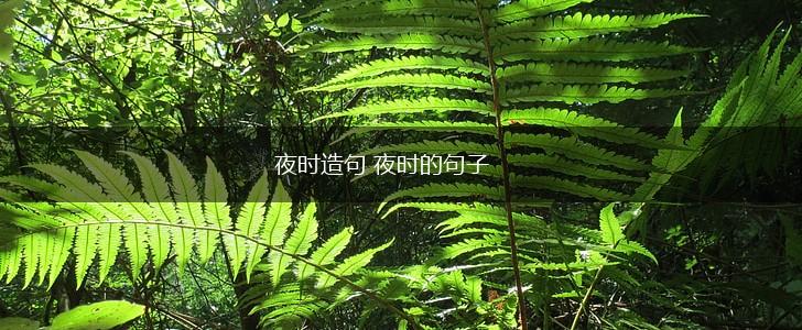夜时造句 夜时的句子,第1张