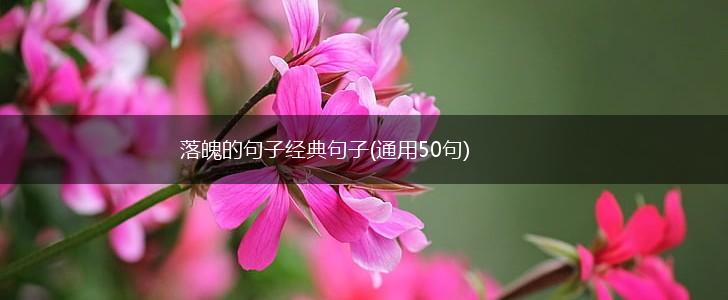 落魄的句子经典句子(通用50句),第1张