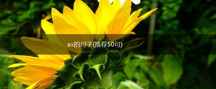 ax的句子(推荐50句),第1张