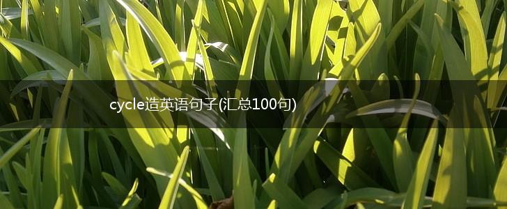 cycle造英语句子(汇总100句),第1张