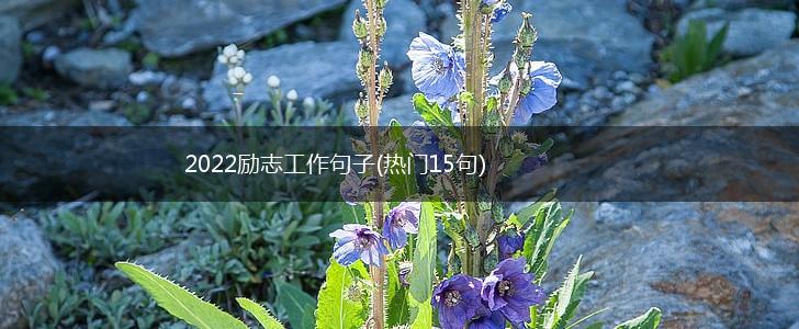 2022励志工作句子(热门15句),第1张