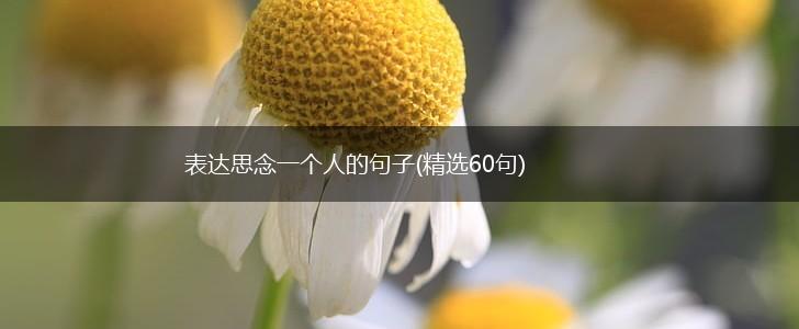 表达思念一个人的句子(精选60句),第1张