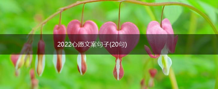2022心愿文案句子(20句),第1张