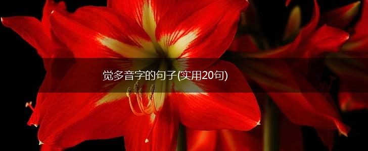 觉多音字的句子(实用20句),第1张