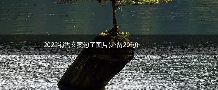 2022销售文案句子图片(必备20句),第1张
