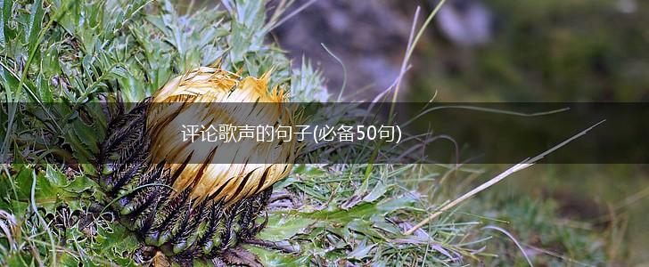 评论歌声的句子(必备50句),第1张