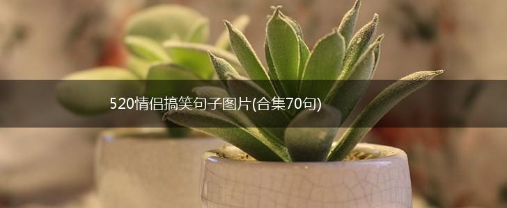 520情侣搞笑句子图片(合集70句),第1张