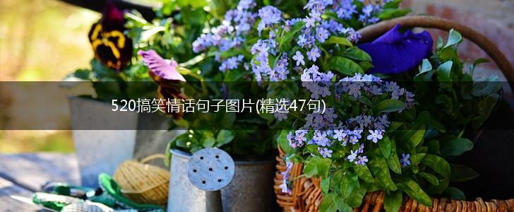 520搞笑情话句子图片(精选47句),第1张