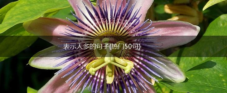 表示人多的句子(热门50句),第1张