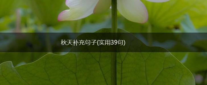 秋天补充句子(实用39句),第1张