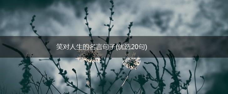 笑对人生的名言句子(优选20句),第1张