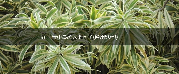 花千骨中最感人的句子(通用50句),第1张