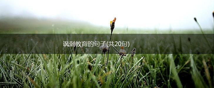 讽刺教育的句子(共20句),第1张