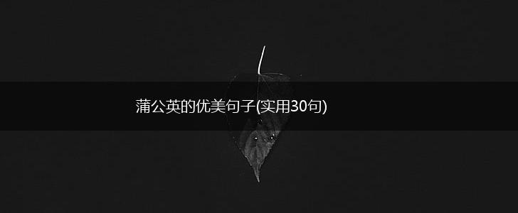蒲公英的优美句子(实用30句),第1张