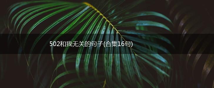 502和我无关的句子(合集16句),第1张