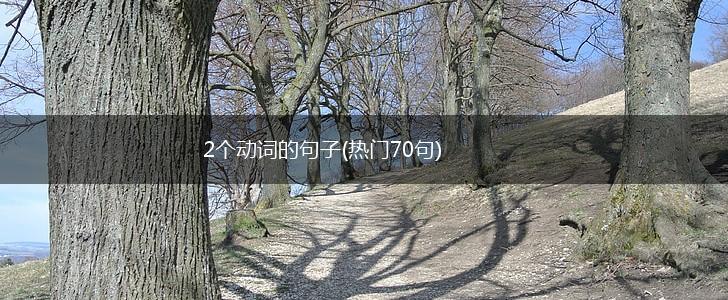 2个动词的句子(热门70句),第1张
