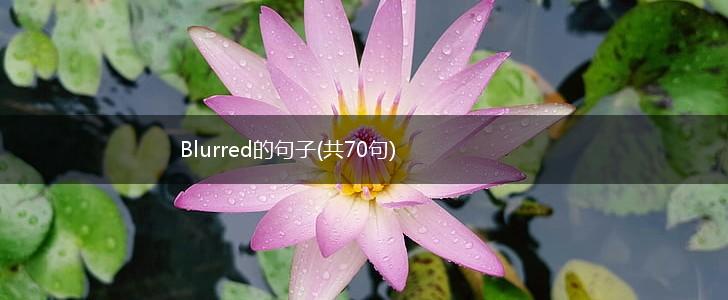 Blurred的句子(共70句),第1张