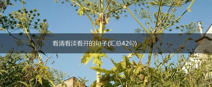 看清看淡看开的句子(汇总42句),第1张