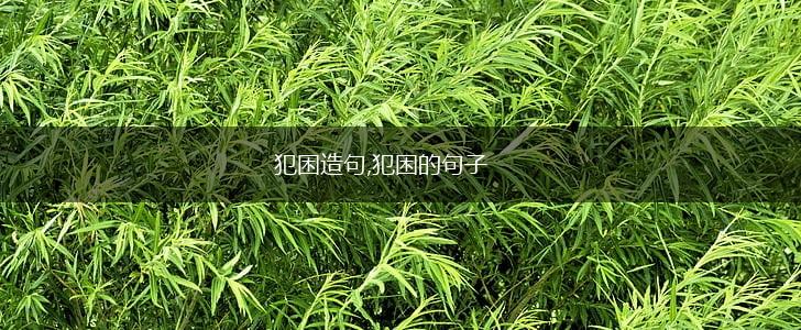 犯困造句,犯困的句子,第1张