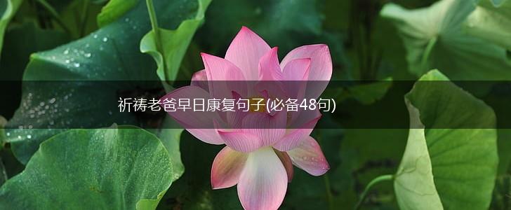 祈祷老爸早日康复句子(必备48句),第1张