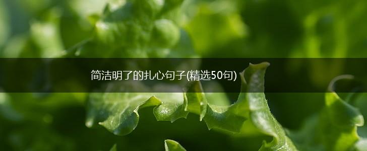 简洁明了的扎心句子(精选50句),第1张