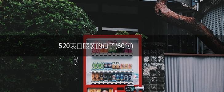 520表白服装的句子(60句),第1张
