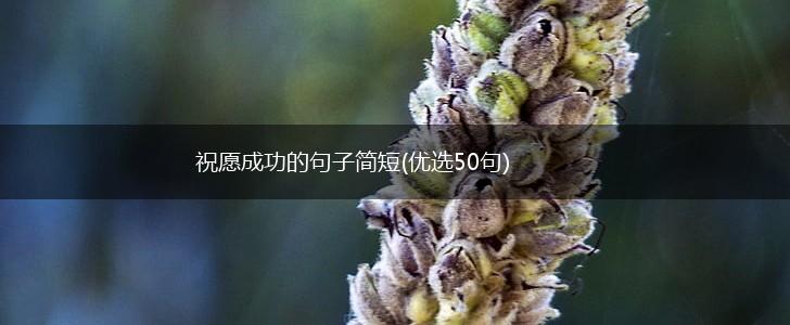 祝愿成功的句子简短(优选50句),第1张