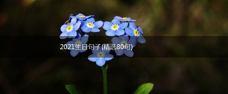 2021生日句子(精选80句),第1张