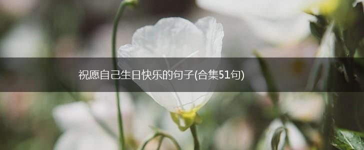 祝愿自己生日快乐的句子(合集51句),第1张