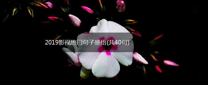 2019影视热门句子感悟(共40句),第1张