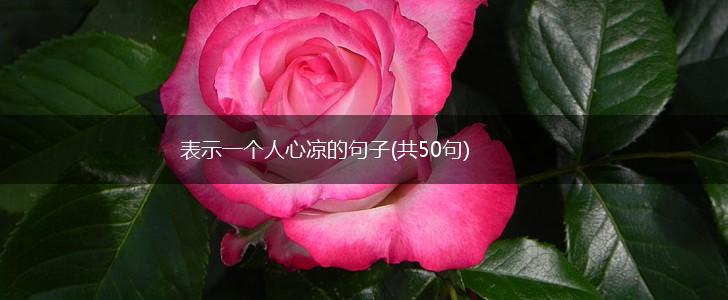 表示一个人心凉的句子(共50句),第1张