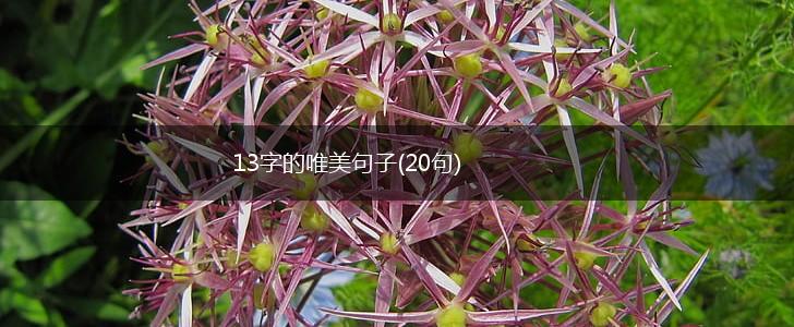 13字的唯美句子(20句),第1张
