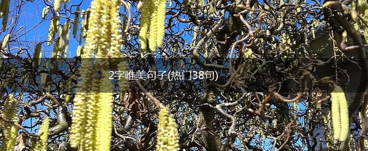2字唯美句子(热门38句),第1张