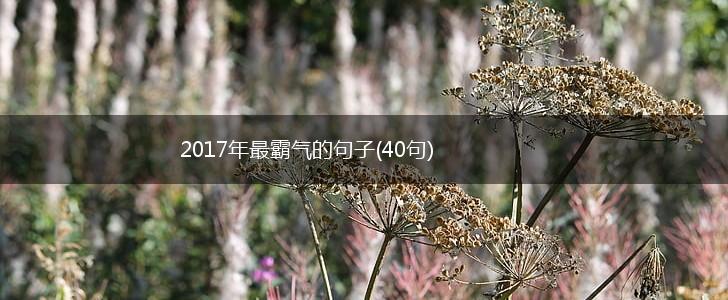 2017年最霸气的句子(40句),第1张