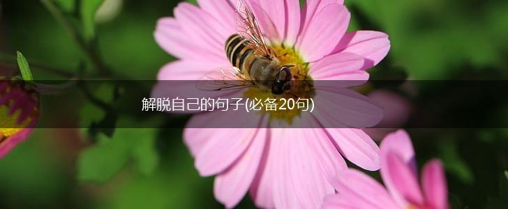 解脱自己的句子(必备20句),第1张