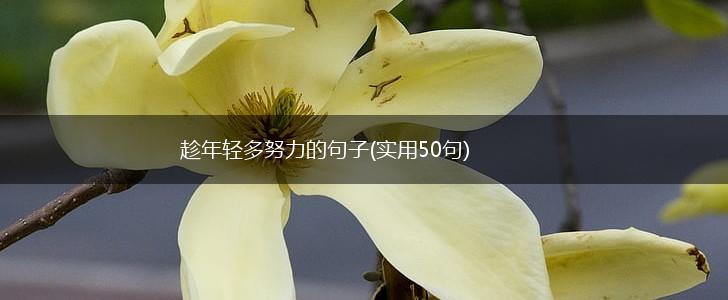 趁年轻多努力的句子(实用50句),第1张