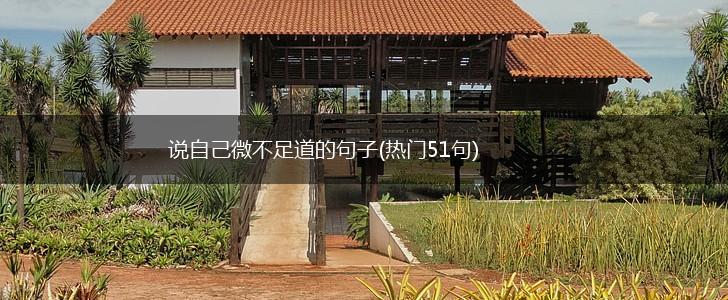 说自己微不足道的句子(热门51句),第1张