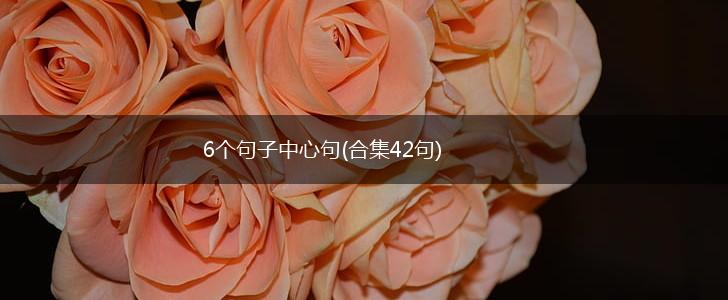 6个句子中心句(合集42句),第1张