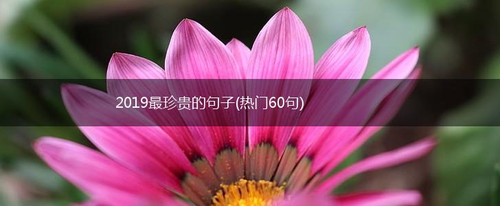 2019最珍贵的句子(热门60句),第1张