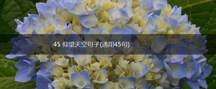 45 仰望天空句子(通用45句),第1张