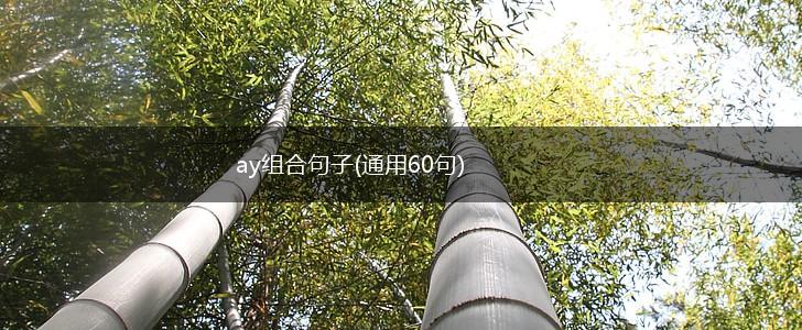 ay组合句子(通用60句),第1张
