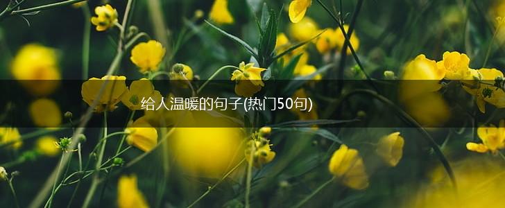 给人温暖的句子(热门50句),第1张