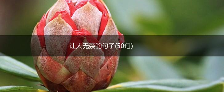 让人无奈的句子(50句),第1张