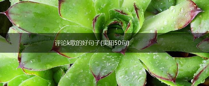 评论k歌的好句子(实用50句),第1张