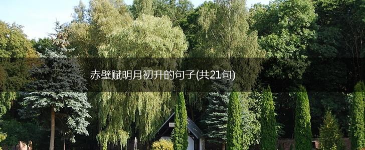 赤壁赋明月初升的句子(共21句),第1张