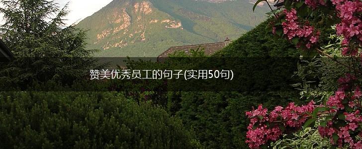 赞美优秀员工的句子(实用50句),第1张