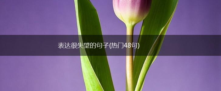 表达很失望的句子(热门48句),第1张