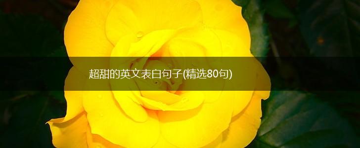 超甜的英文表白句子(精选80句),第1张