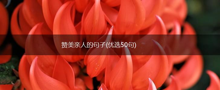赞美亲人的句子(优选50句),第1张