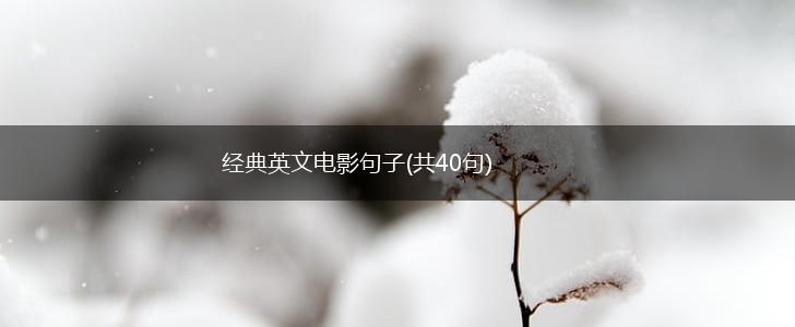 经典英文电影句子(共40句),第1张